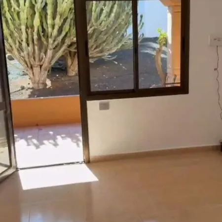 Oasis Bliss