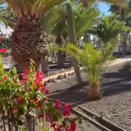 Oasis Bliss Apartment